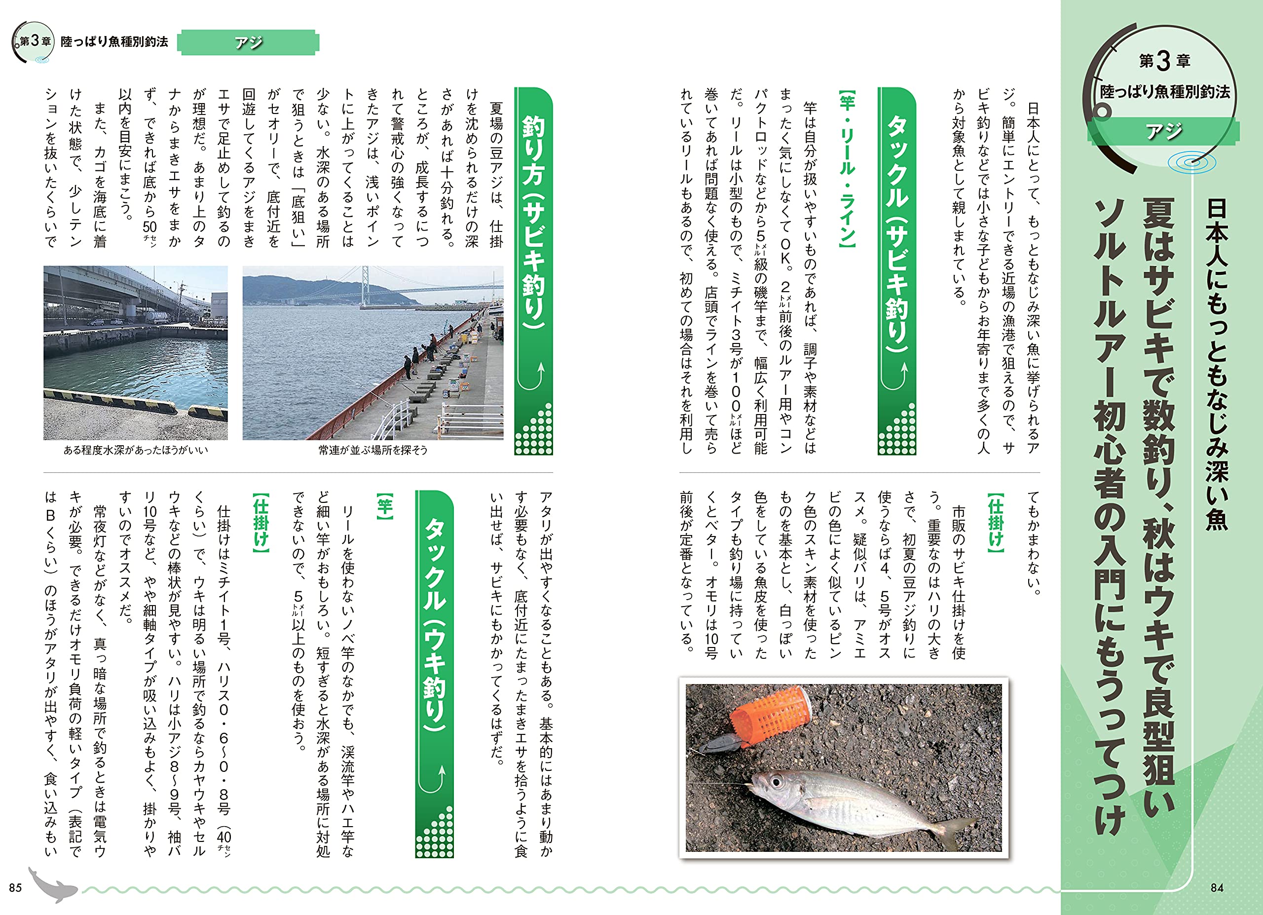 これでオー 少年海釣りブック シカケと釣り方これでオーケー og1nb